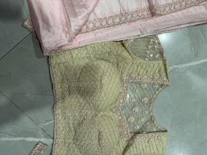 Designer Ethnic saree and Blouse