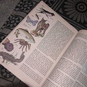 1984 Giant Book of Knowledge - Vintage Hardcover