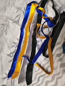 Set of 4 Satin Ties