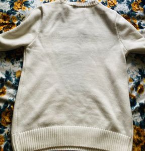 Polo Bear Knit Sweater