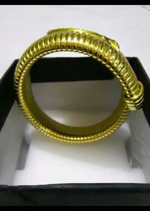 golden snake Watch