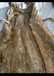 Elegant Embroidered Ethnic Gown