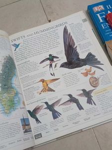 DK Illustrated Family Encyclopedia Vol 14