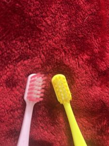 Soft Bristle Toothbrush