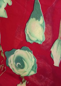 Red &amp; Green Floral Saree