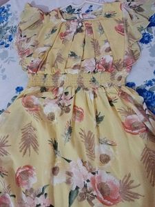Floral Chiffon Mini Dress