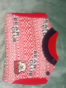 Cute Bear Club Knit Sweater