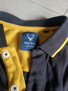 Men's Allen Solly Polo T-Shirt