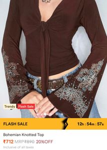 Brown Top with Embellished Sleeves