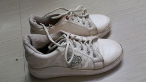 White Sneakers