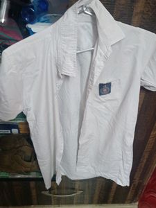 Half Sleeve School Shirt 2 Pc White