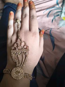 Stunning Rose Gold Hand Harness