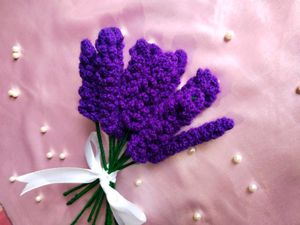 1 lavender for 99 rupees only 💜