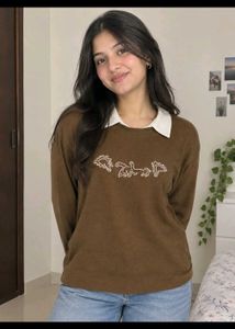 Brown Dinosaur Graphic Long Sleeve Top