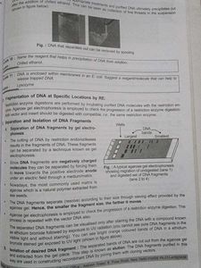 NEET &amp; AIIMS Zoology Study Package