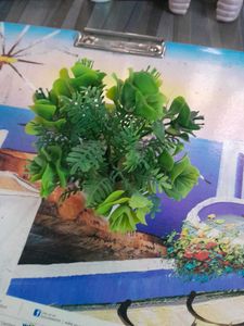 Green Artificial Plant