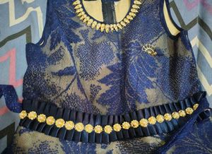 Beautiful Blue Embellished Gown