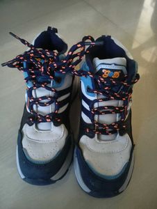 Stylish Blue & White Sneakers