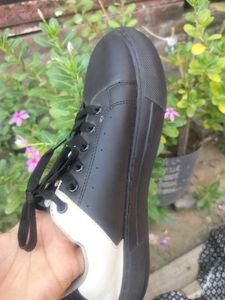 Zudio Original Shoe