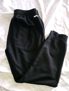 Performax Track pant M