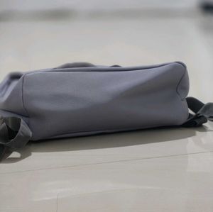 Baggit L Greedy purple solid laptop backpack