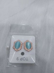 Elegant Blue Stone Earrings