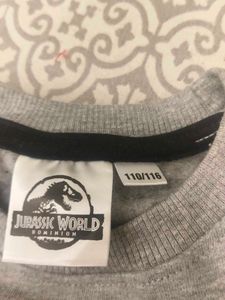 Raptor Chase Kids Sweatshirt