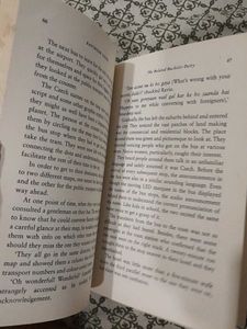 The Belated Bachelor Party by Ravinder Singh