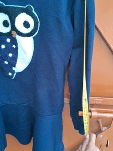Used Sweatshirt