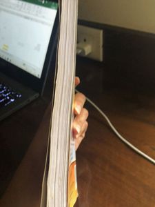 The Diary of a Young Girl
