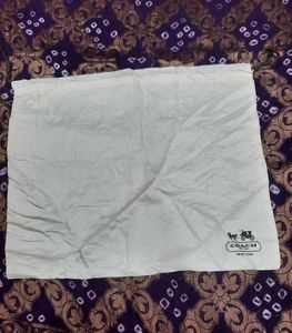 Coach Dust Bag