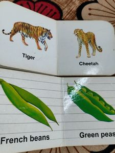 Mini Boards Books
