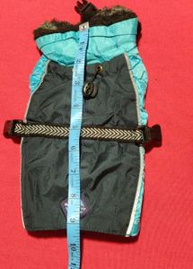 Small Cat Jacket