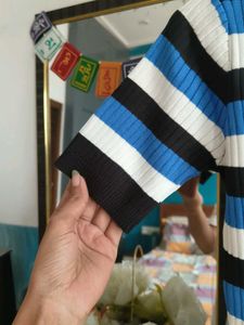 Striped Polo Neck Knit Dress