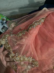 Sequins and hand stiched Net Saree with blouse pie