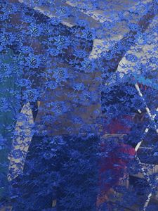 Blue Lace fabric