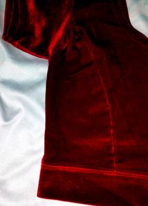 Elegant Red Velvet Blouse