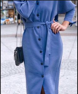 Blue Button-Down Midi Dress with Belt