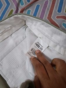 Formal pant