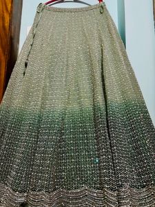 Pastel Shaded Green  Designer Lehenga