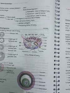 Gynaecology Marrow Edition 8