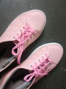 Pinky Flat Shoes  Highshoes