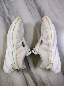 White Adidas Shark Sole Shoes,Size UK 6-7