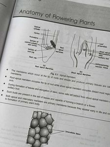 Zoology &amp; Botany Diagrams