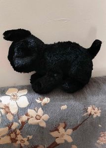 Cute Black Dog Plush Toy