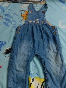 Cute Denim Overalls with Embroidery