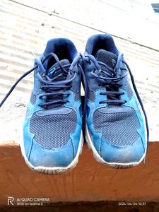 Liberty Force 10 Snickers