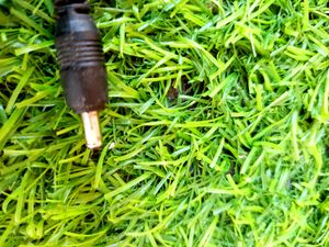 DC(Car/Cigarette) Charging Cable for Nokia Phone