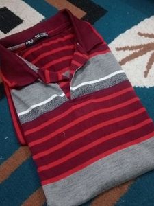 Striped Polo T-Shirt