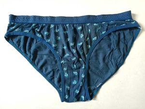 Blue 40/L Brief Panty